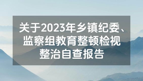 关于2023年乡镇纪委、监察组教育整顿检视整治自查报告