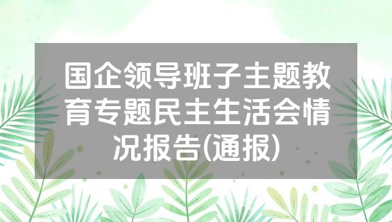 国企领导班子主题教育专题民主生活会情况报告(通报)