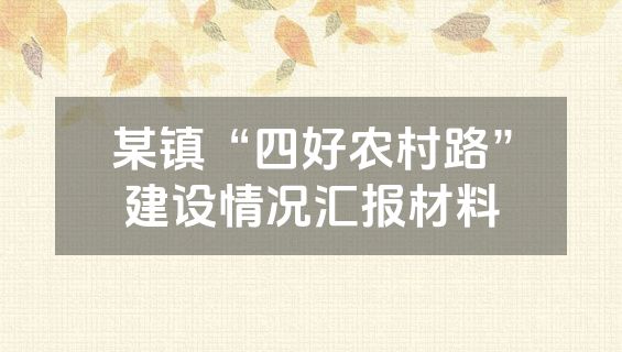 某镇“四好农村路”建设情况汇报材料