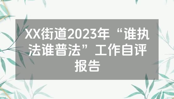 XX街道2023年“谁执法谁普法”工作自评报告