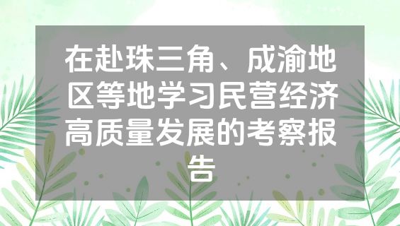 在赴珠三角、成渝地区等地学习民营经济高质量发展的考察报告