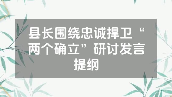 县长围绕忠诚捍卫“两个确立”研讨发言提纲