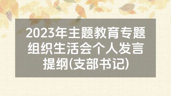 2023年主题教育专题组织生活会个人发言提纲(支部书记)