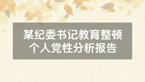 某纪委书记教育整顿个人党性分析报告