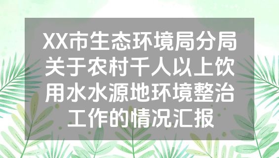 XX市生态环境局分局关于农村千人以上饮用水水源地环境整治工作的情况汇报