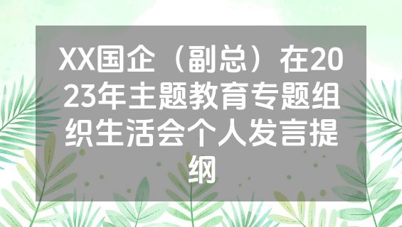 XX国企（副总）在2023年主题教育专题组织生活会个人发言提纲
