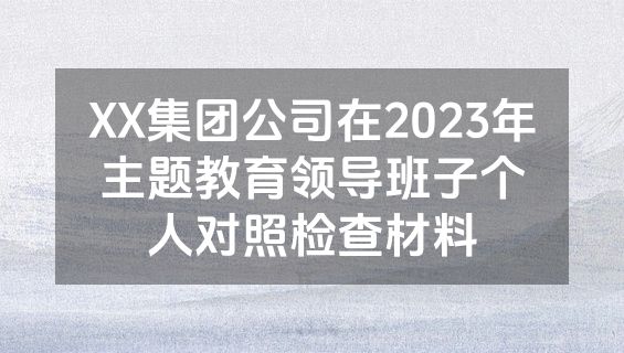 XX集团公司在2023年主题教育领导班子个人对照检查材料