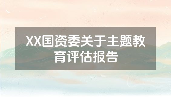XX国资委关于主题教育评估报告