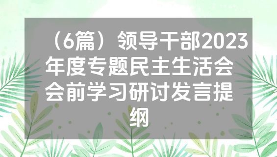 （6篇）领导干部2023年度专题民主生活会会前学习研讨发言提纲