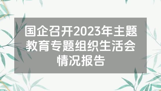 国企召开2023年主题教育专题组织生活会情况报告