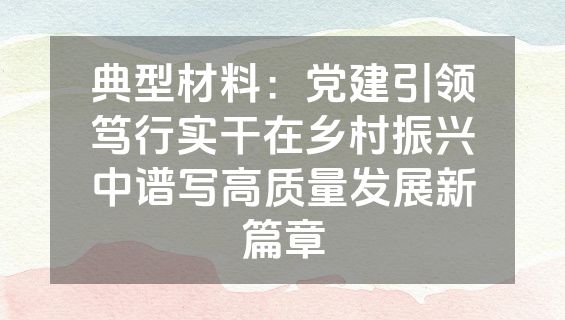 典型材料：党建引领笃行实干在乡村振兴中谱写高质量发展新篇章
