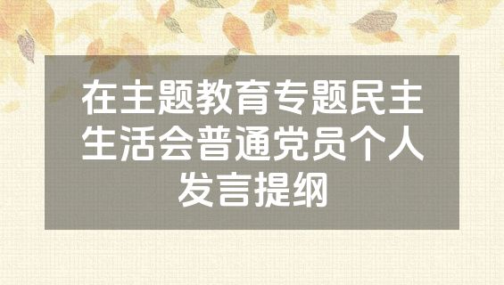 在主题教育专题民主生活会普通党员个人发言提纲