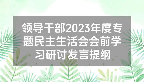 领导干部2023年度专题民主生活会会前学习研讨发言提纲