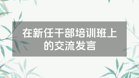 在新任干部培训班上的交流发言