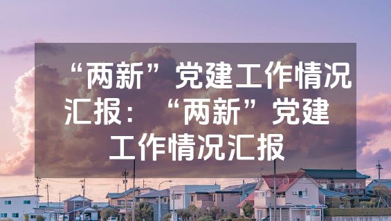 “两新”党建工作情况汇报：“两新”党建工作情况汇报