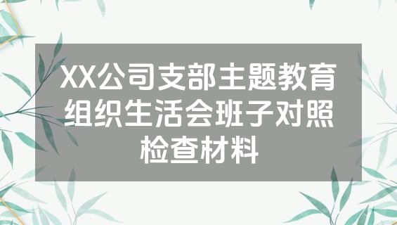 XX公司支部主题教育组织生活会班子对照检查材料