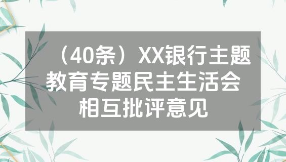 （40条）XX银行主题教育专题民主生活会相互批评意见