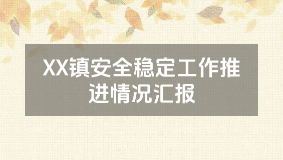 XX镇安全稳定工作推进情况汇报
