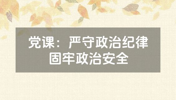 党课：严守政治纪律固牢政治安全