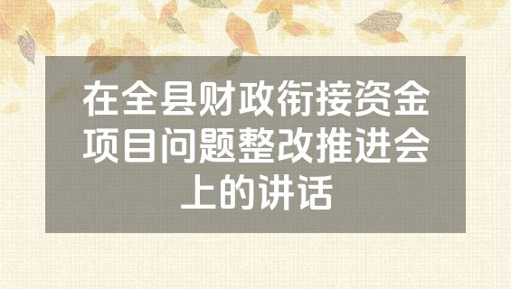 在全县财政衔接资金项目问题整改推进会上的讲话