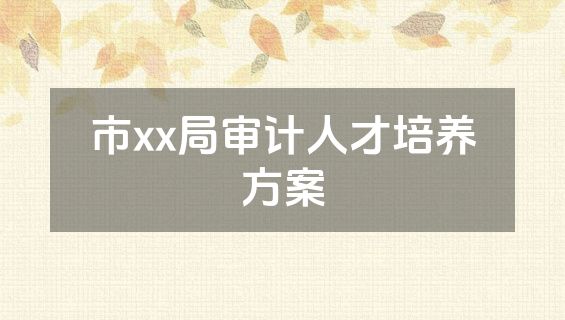 市xx局审计人才培养方案
