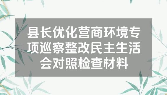 县长优化营商环境专项巡察整改民主生活会对照检查材料