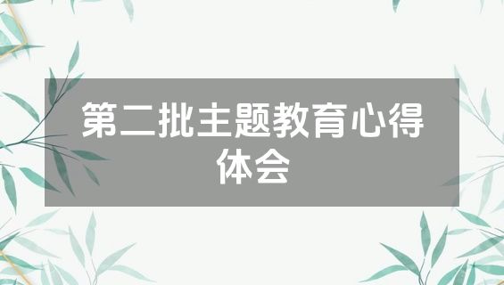 第二批主题教育心得体会