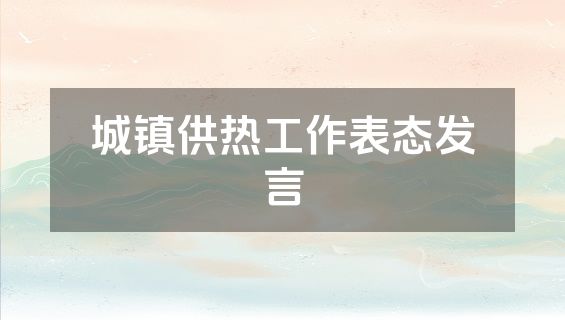 城镇供热工作表态发言