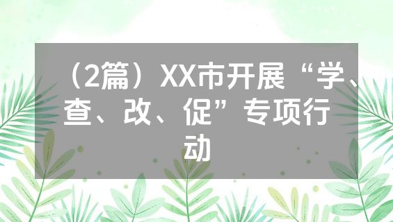 （2篇）XX市开展“学、查、改、促”专项行动