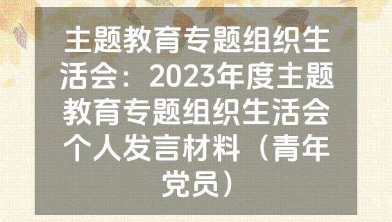 主题教育专题组织生活会：2023年度主题教育专题组织生活会个人发言材料（青年党员）