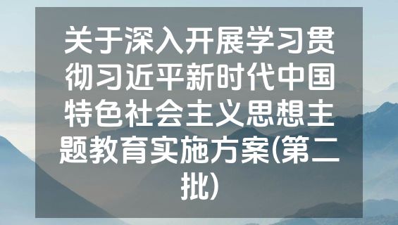 关于深入开展学习贯彻习近平新时代中国特色社会主义思想主题教育实施方案(第二批)