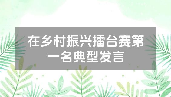 在乡村振兴擂台赛第一名典型发言