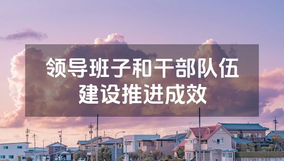 领导班子和干部队伍建设推进成效