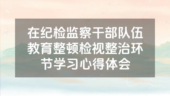 在纪检监察干部队伍教育整顿检视整治环节学习心得体会