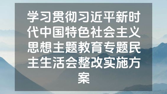 学习贯彻习近平新时代中国特色社会主义思想主题教育专题民主生活会整改实施方案