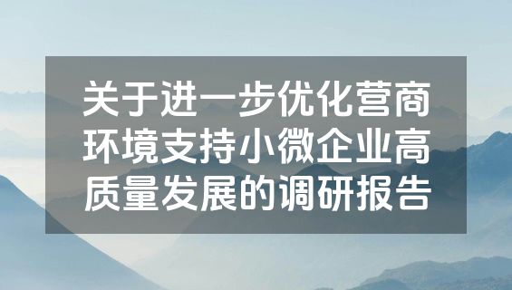 关于进一步优化营商环境支持小微企业高质量发展的调研报告