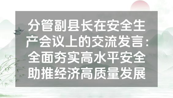 分管副县长在安全生产会议上的交流发言：全面夯实高水平安全助推经济高质量发展