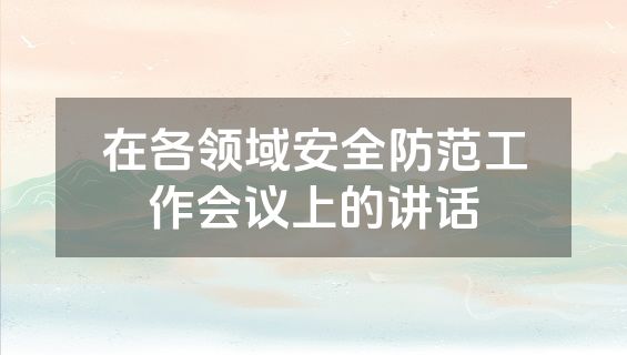 在各领域安全防范工作会议上的讲话