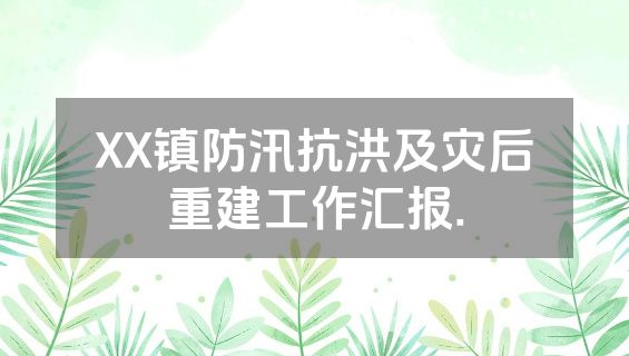 XX镇防汛抗洪及灾后重建工作汇报.