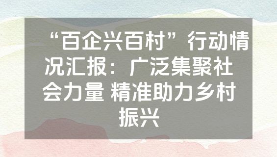 “百企兴百村”行动情况汇报：广泛集聚社会力量 精准助力乡村振兴