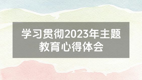 学习贯彻2023年主题教育心得体会