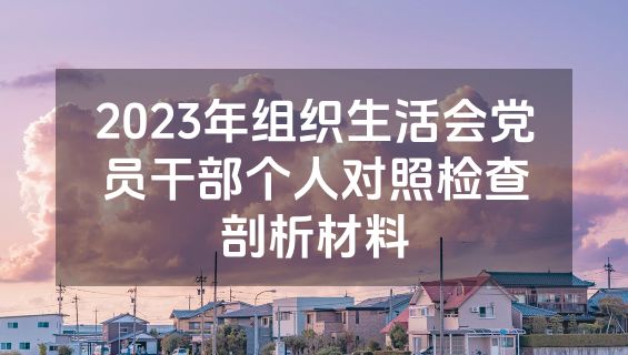 2023年组织生活会党员干部个人对照检查剖析材料