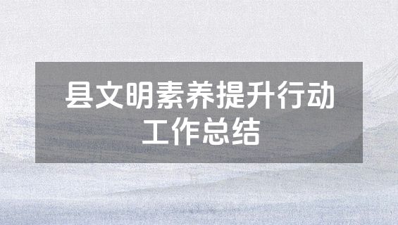 县文明素养提升行动工作总结