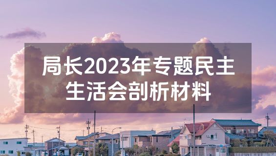 局长2023年专题民主生活会剖析材料