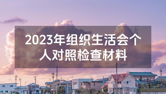 2023年组织生活会个人对照检查材料
