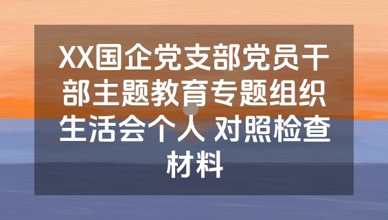 XX国企党支部党员干部主题教育专题组织生活会个人 对照检查材料