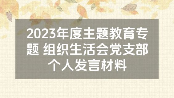 2023年度主题教育专题 组织生活会党支部个人发言材料