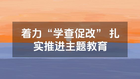 着力“学查促改” 扎实推进主题教育