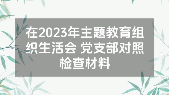 在2023年主题教育组织生活会 党支部对照检查材料