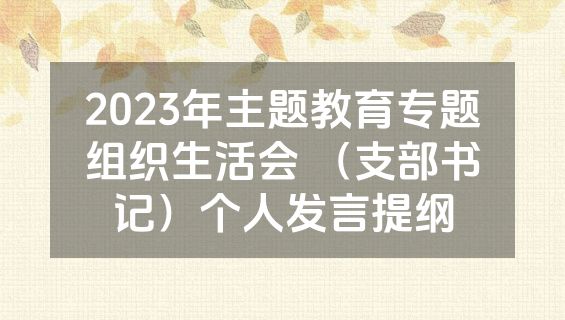2023年主题教育专题组织生活会 （支部书记）个人发言提纲